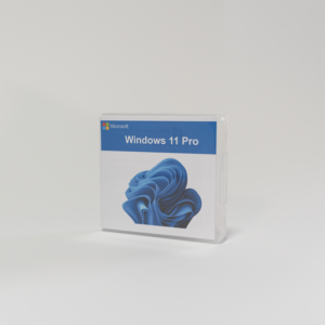 Windows 11 Pro pe stick USB