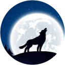 _NE WOLFACHE_ profile picture