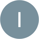 Ion Secareanu profile picture