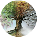 Merauta Vasile profile picture