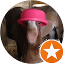 Chiorean Adelin profile picture