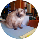 Ivanov Adrian profile picture