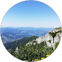 Liviu Liviu profile picture