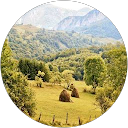 vali magureanu profile picture